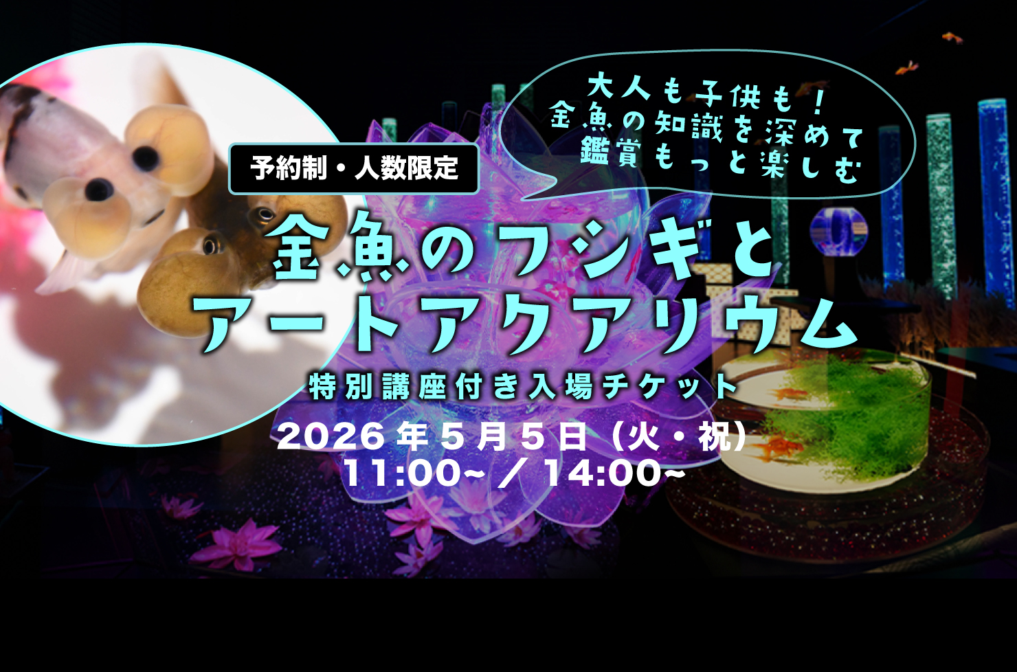 金魚のフシギとアートアクアリウム講座付き入場券　5月5日