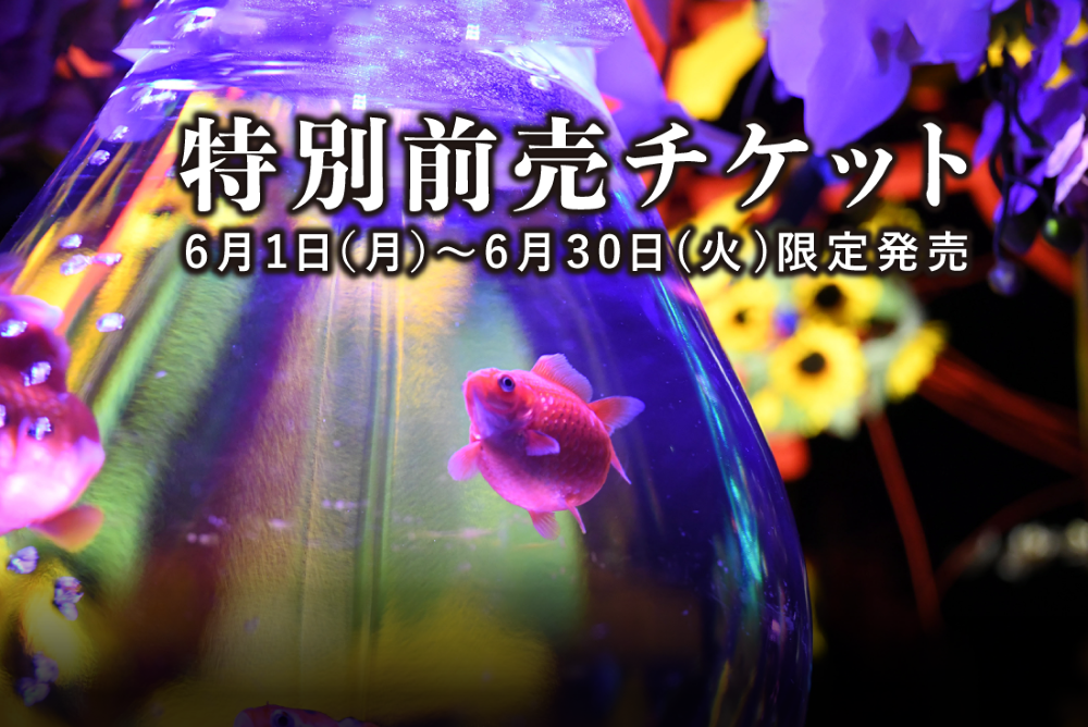 特別前売券-名古屋2026