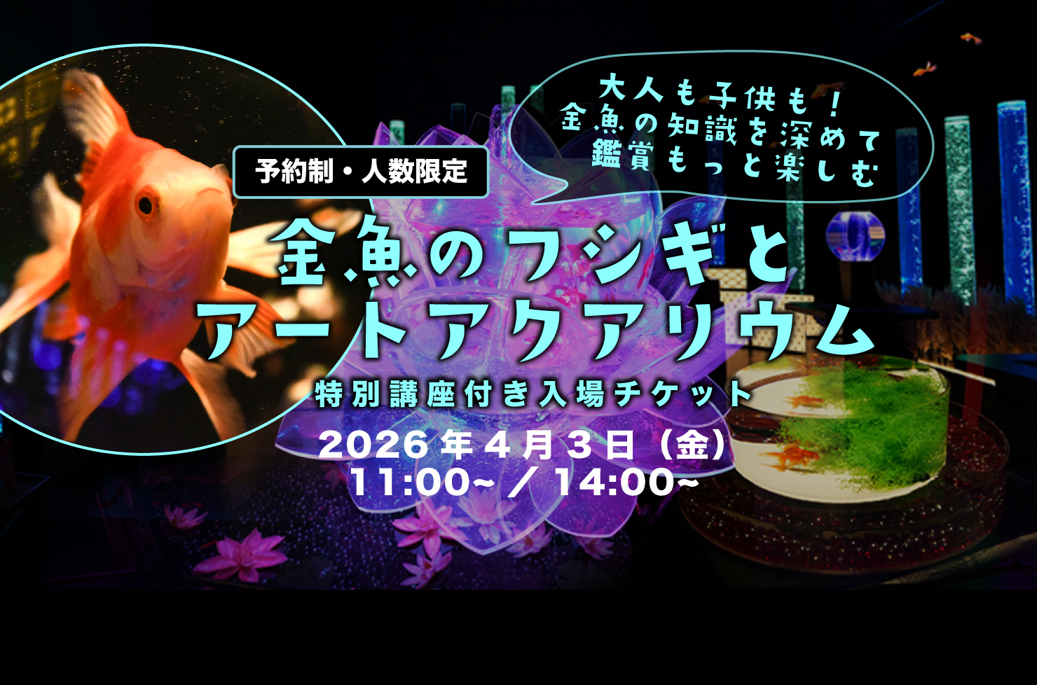 金魚のフシギとアートアクアリウム講座付き入場券 　4月3日 