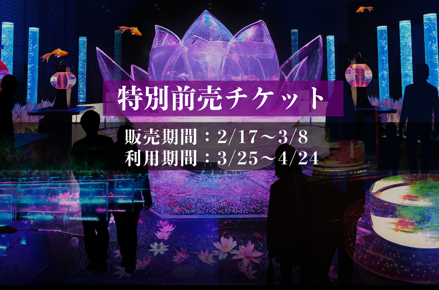 特別前売チケット