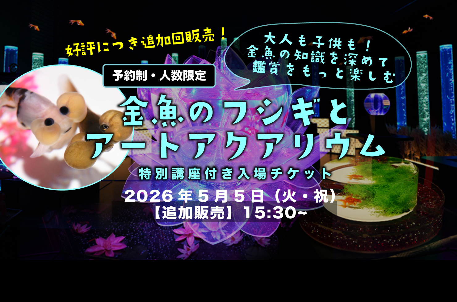 金魚のフシギとアートアクアリウム講座付き入場券 5月5日 〈追加　15時30分〉