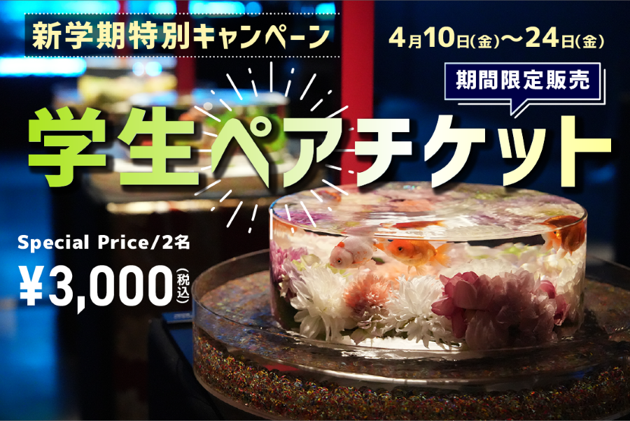 学生ペアチケット